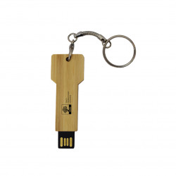 USB Drive (V1)
